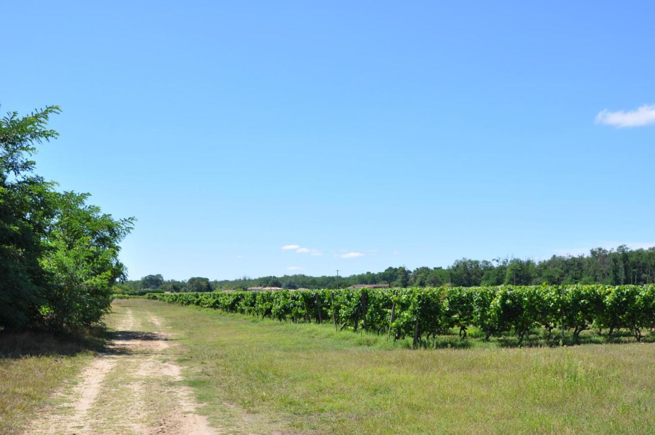 Clos San Gianni Pujols-sur-Ciron Екстериор снимка
